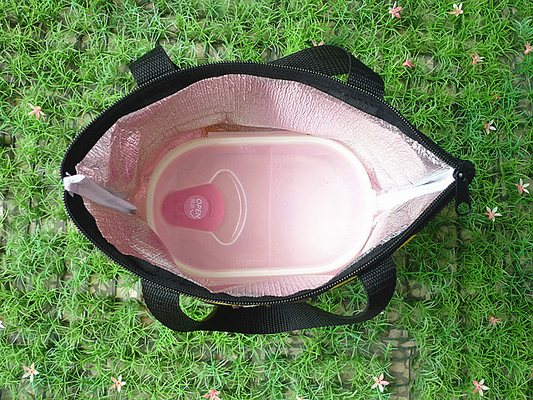 Capacità isolata all'aperto della borsa del dispositivo di raffreddamento di viaggio di picnic grande per fare un'escursione